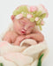 Baby in a Flower_736
