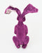 Bunny Funny_387