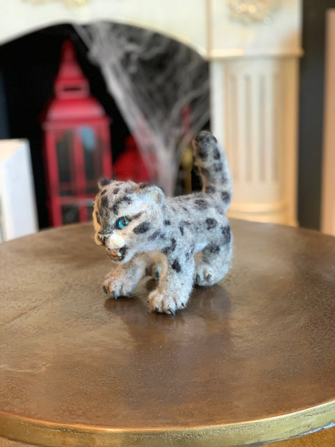 Snow Leopard_737