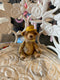 Teddy Bear Nik_577