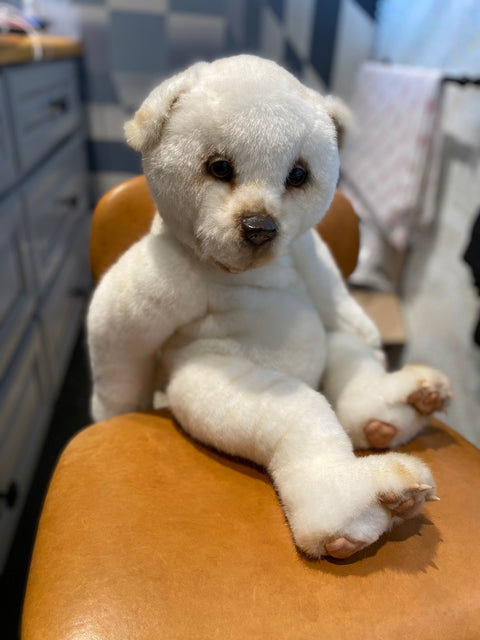 Polar Bear_830