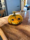 Mini Pumpkin_860