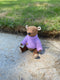 Bear Paul_164