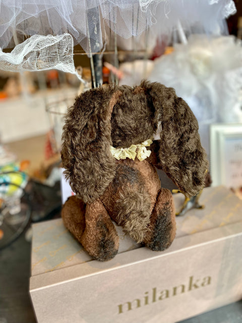 Bunny Binn_881