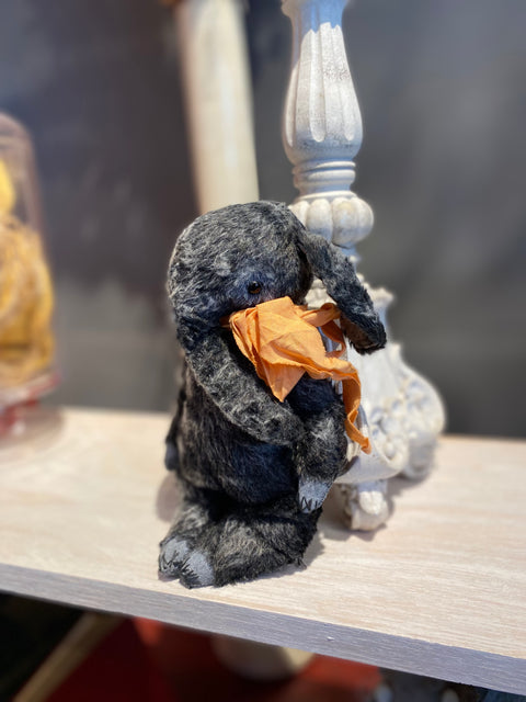 Elephant Charles_136