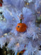 Christmas tangerine_751