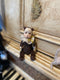 Teddy doll Jhon_117