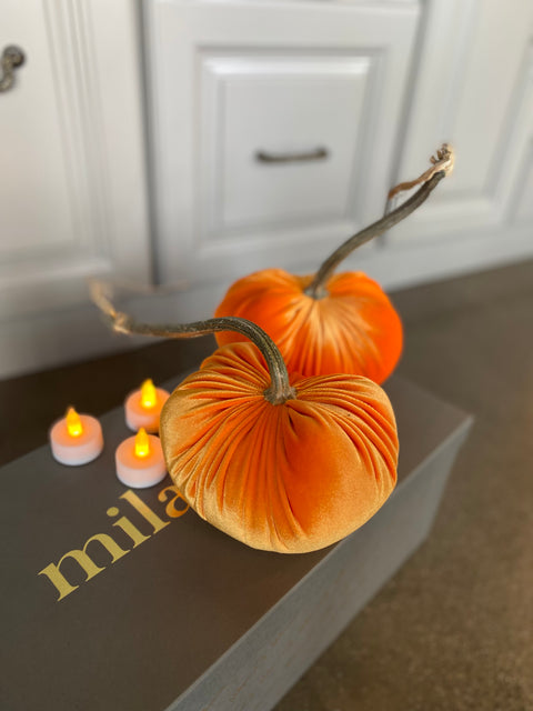 Velvet Pumpkin_859