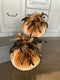 Velvet Pumpkin_859