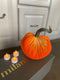 Velvet Pumpkin_859