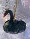 Swan_317