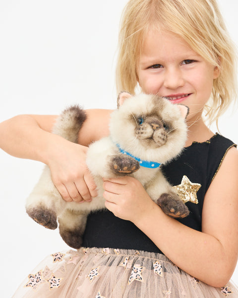 Cat Zeus_833